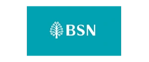 bsn logo